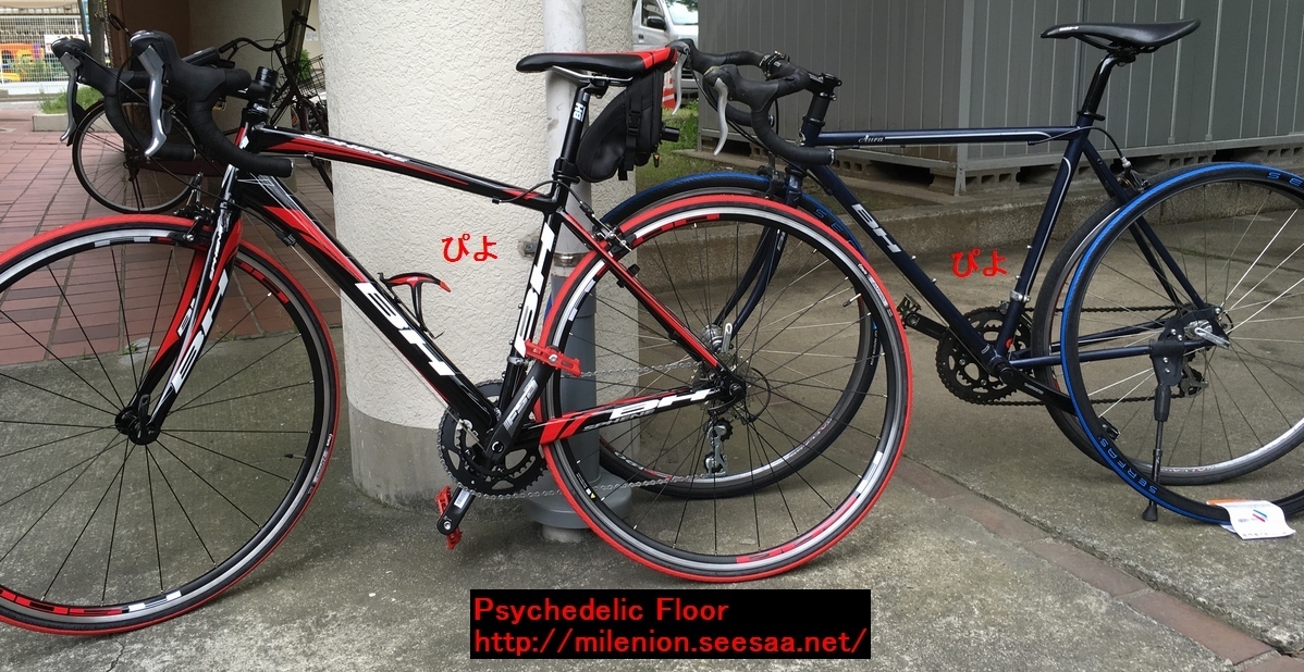 ロードバイク初心者の徒然 -2- 【ロードバイクの選び方】: Psychedelic